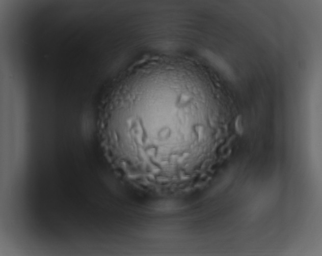 X0000101400065200807071227