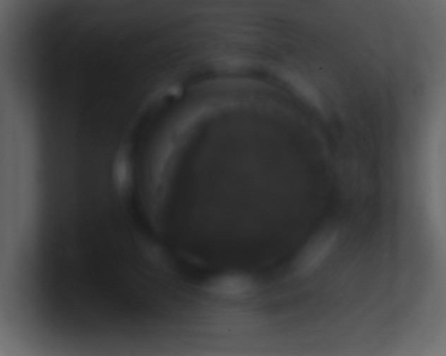 X0000101400067200807071227