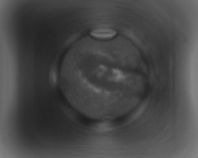 X0000101400068200807071227