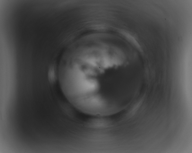 X0000101400069200807071227