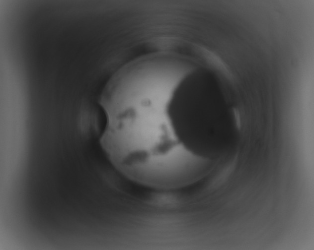 X0000101400073200807071227