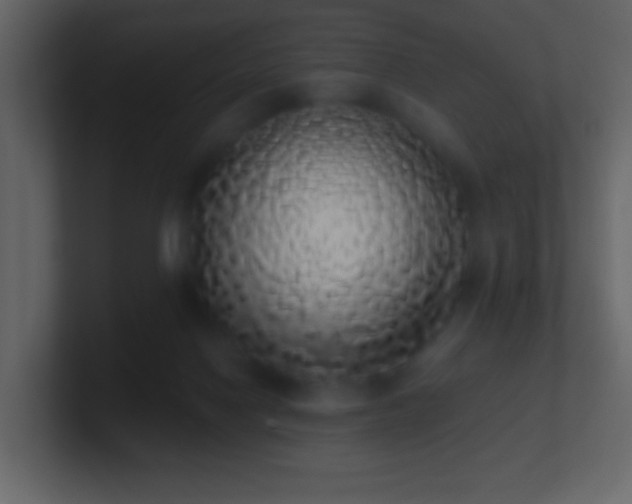 X0000101400074200807071227