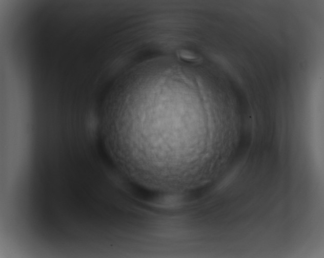 X0000101400084200807071227