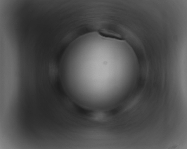 X0000101400085200807071227