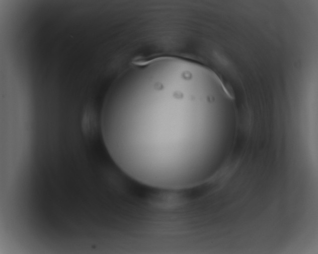 X0000101400086200807071227