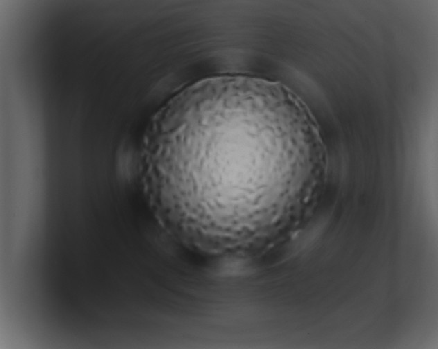 X0000101400093200807071227