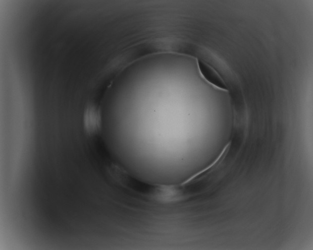 X0000101400095200807071227