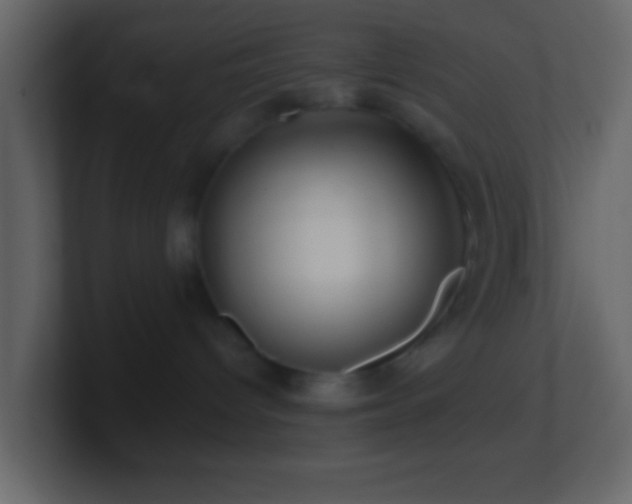 X0000101400096200807071227