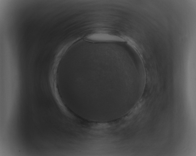 X0000101400097200807071227