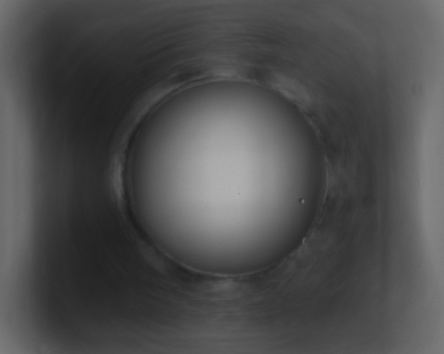 X0000101400098200807071227