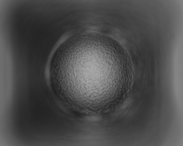 X0000101400102200807071227