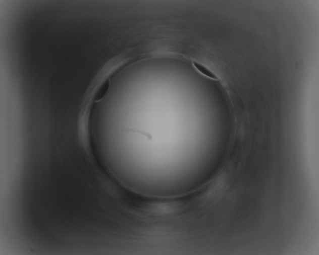 X0000101400103200807071227