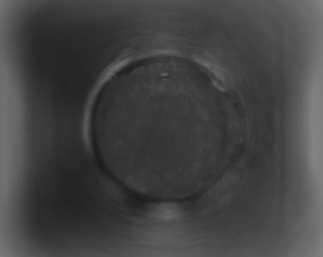 X0000101400104200807071227