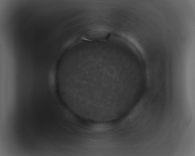 X0000101400105200807071227