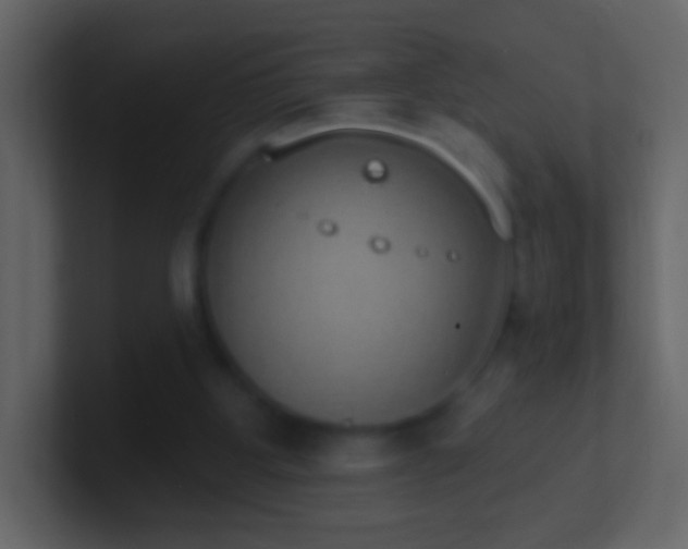 X0000101400107200807071227