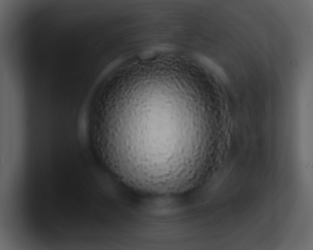 X0000101400108200807071227