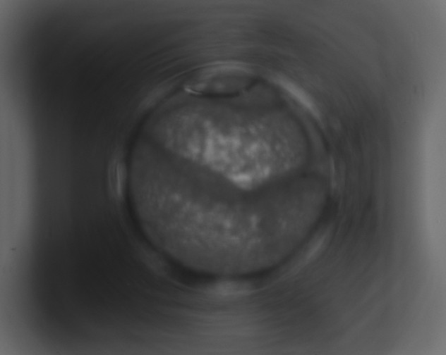 X0000101400109200807071227