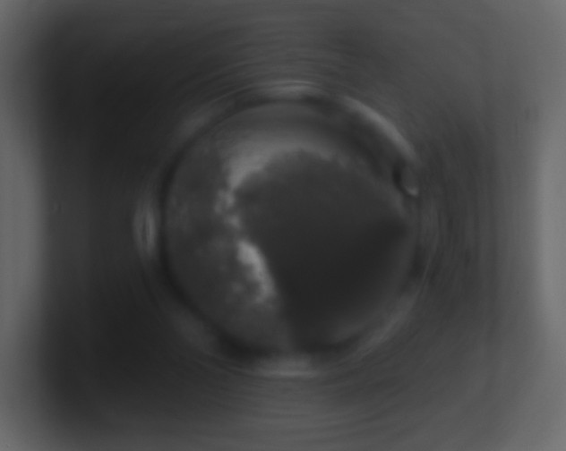 X0000101400110200807071227