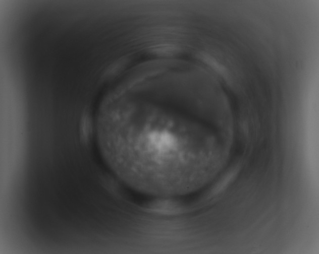 X0000101400117200807071226