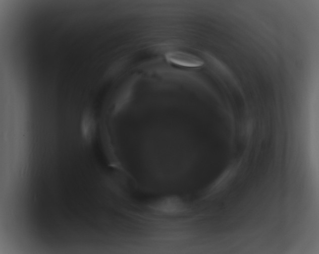 X0000101400124200807071226