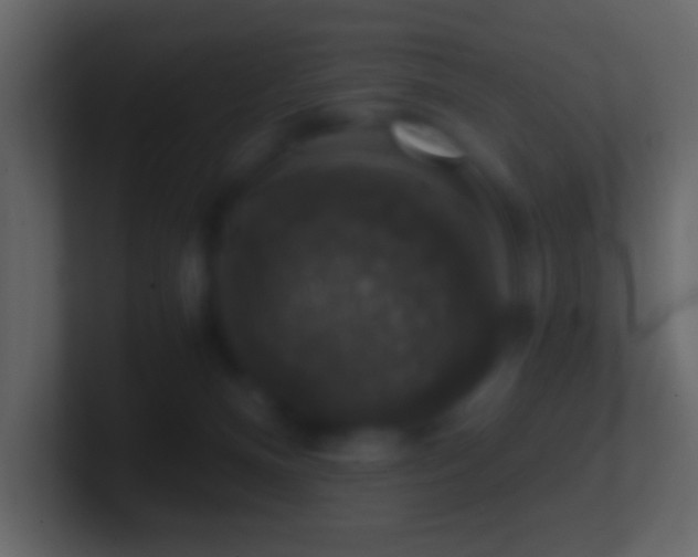 X0000101400128200807071226