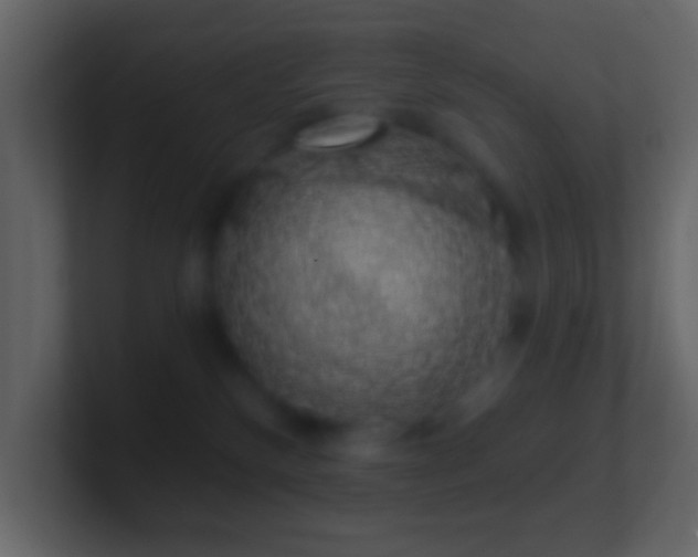 X0000101400136200807071226