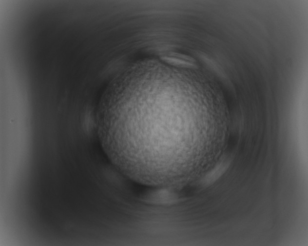 X0000101400140200807071226