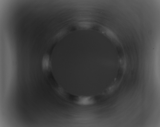 X0000101400143200807071226