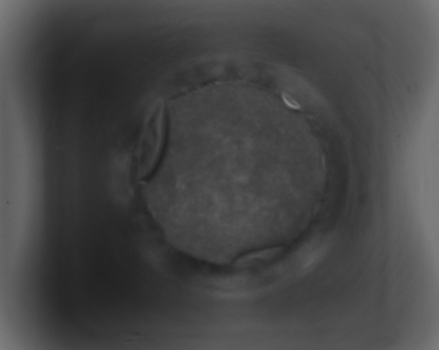 X0000101400144200807071226