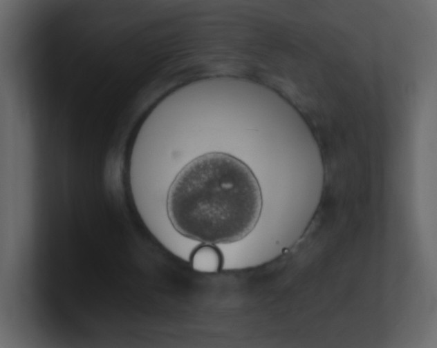 X0000101400146200807071226