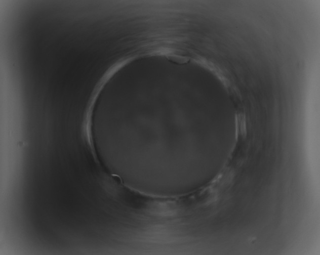 X0000101400147200807071226