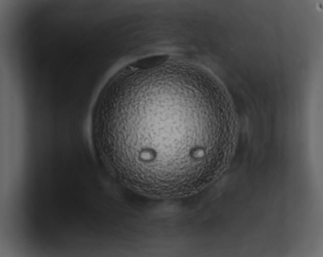 X0000101400148200807071226