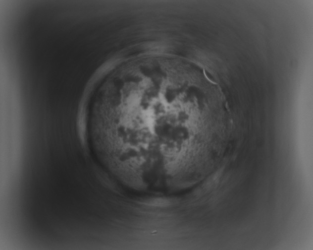 X0000101400149200807071226