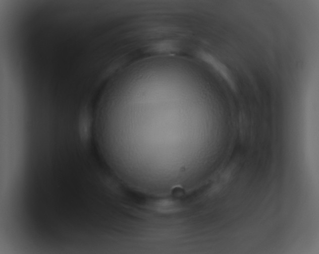 X0000101400153200807071226