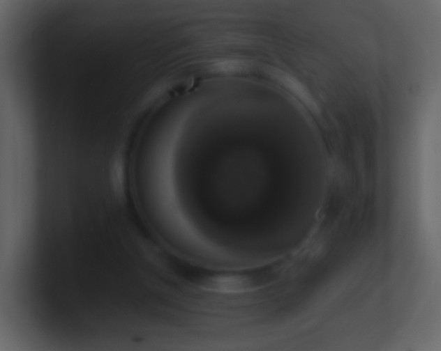 X0000101400154200807071226