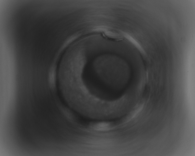 X0000101400156200807071226