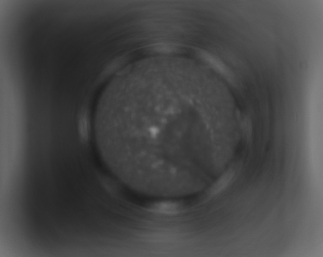 X0000101400158200807071226