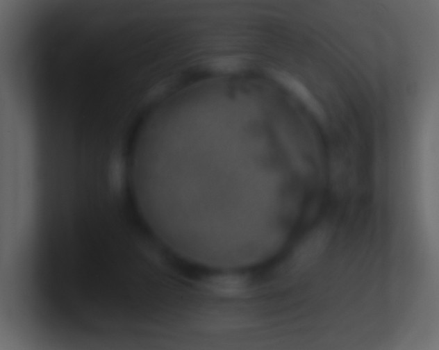 X0000101400161200807071226