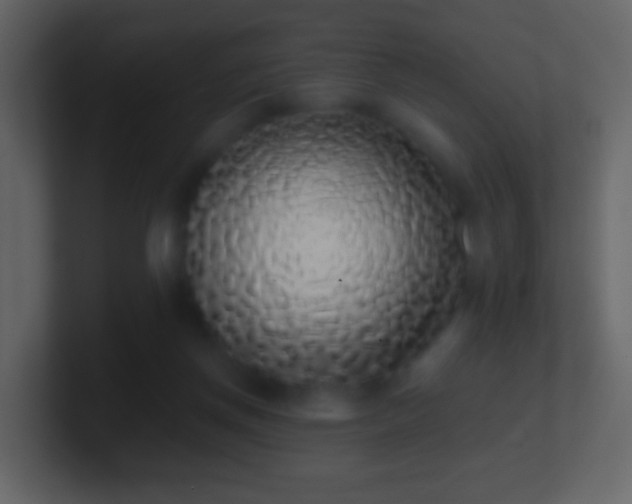 X0000101400166200807071226