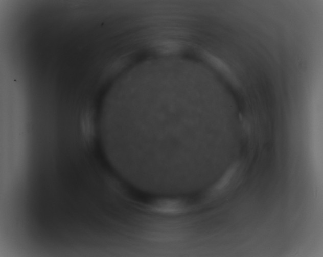 X0000101400170200807071226