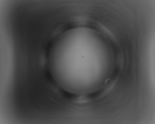 X0000101400173200807071226