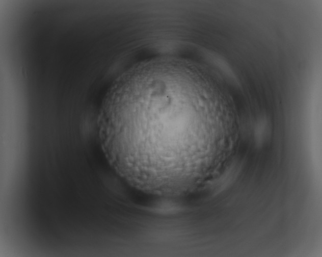 X0000101400175200807071226