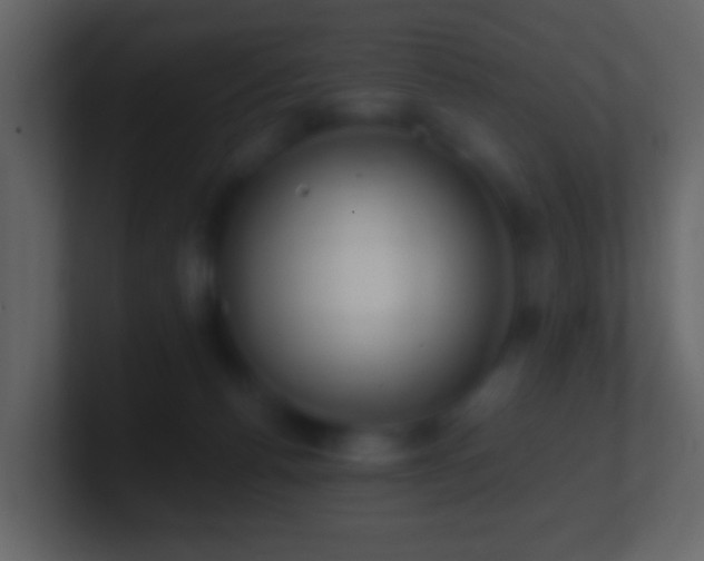 X0000101400176200807071226