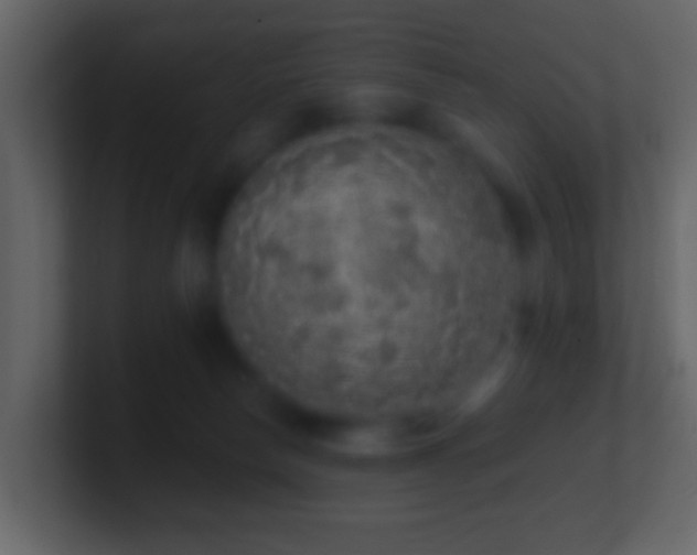 X0000101400178200807071226