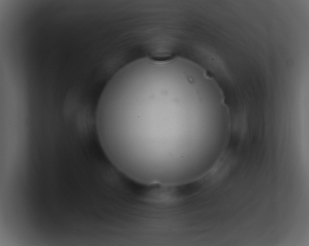 X0000101400179200807071226