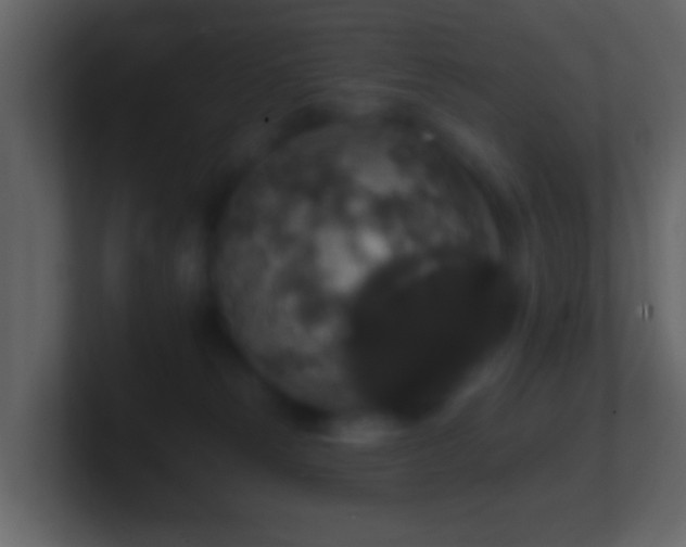 X0000101400181200807071226