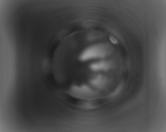 X0000101400182200807071226