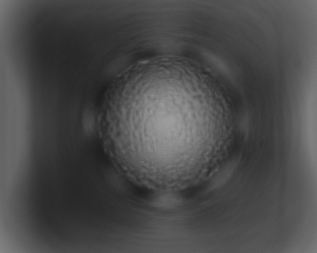 X0000101400185200807071226