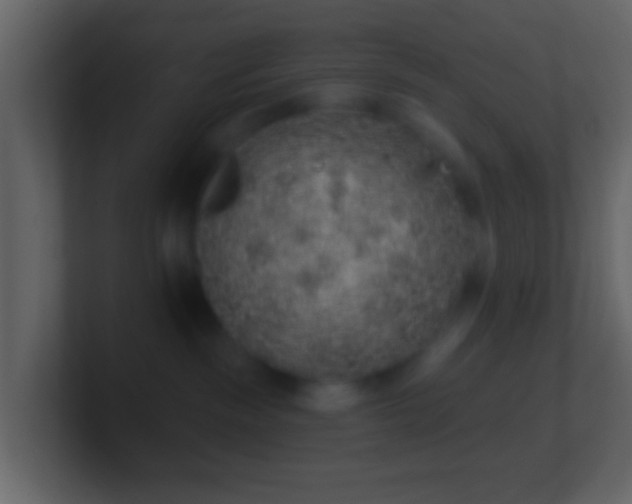 X0000101400189200807071226