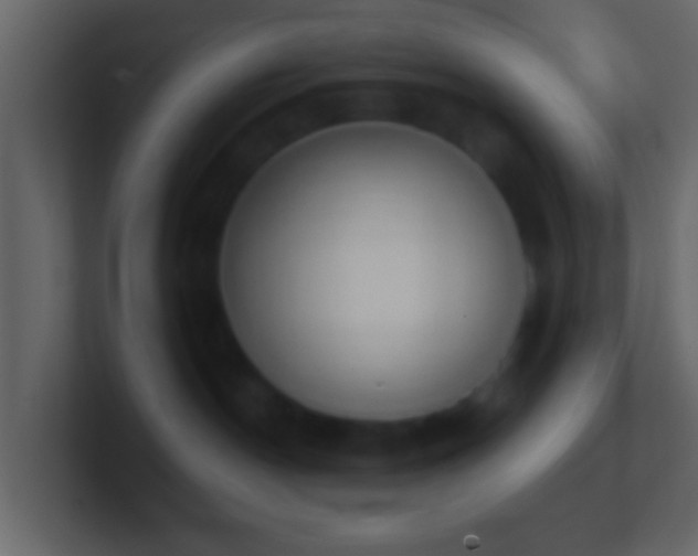 X0000101400190200807071226